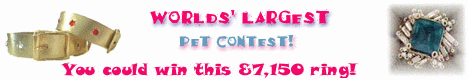 pet contest